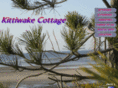 capemaykittiwakecottage.com