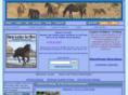 horseauctionandmore.com