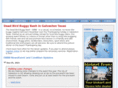 deadbirdbuggybash.com