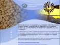 peanutcorp.com