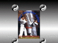 taekwondoannecy.com