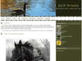 ecpprints.com