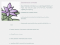 elpisministriesunlimited.org