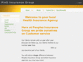 pinggroupins.com