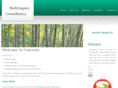 webempireconsultancy.com