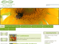 bexarlandtrust.org