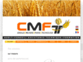 cmft-conseil.com