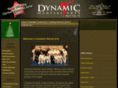 dmajujitsu.com