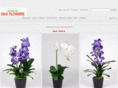 houseofsilkflowers.com