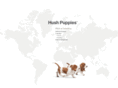 hush-puppies.com