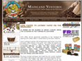 lionmainland.com