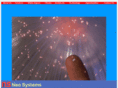 neosystemsinc.com