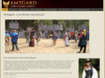 amtgard.info