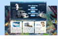 atlanticmoversmiami.com