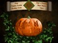 lordofpumpkins.com