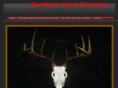 southernskullcleaning.com