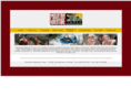 mountainadventuretours.org