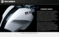 recorsa.com