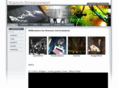 warnuts.de