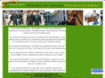accountingwebsites.net