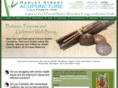 harleystreetacupuncture.com