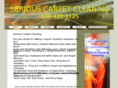 seriouscarpetcleaning.com