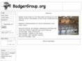 badgergroup.org