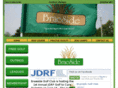 braesidegolf.com