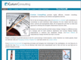curiumconsulting.com