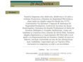 dsingenieria.com