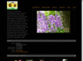 prairiebeephoto.com