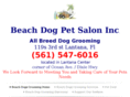 beachdogsalon.com