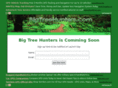 bigtreehunter.com
