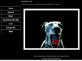 poochpics.com
