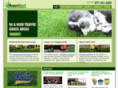 ameriturfsystems.com