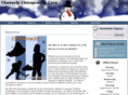 cheverlychiropracticcare.com