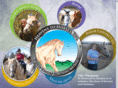 heavenstohorses.com