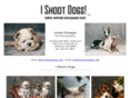 ishootdogs.com