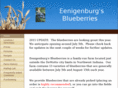 demotteblueberries.com