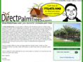 directpalmtrees.com