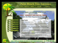 palmbeachtreeservice.com