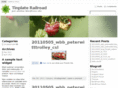 tinplaterailroad.com