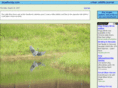 blueflorida.com