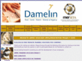 damelinproj.co.za