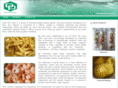distriplusasia.com