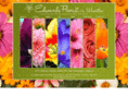 edwards-florist.com