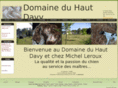 hautdavy.com