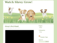 shreypoints.com