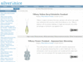 silvernice.com