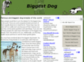 biggestdog.co.uk